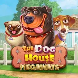 The Dog House Megaways gra w Aquaspins Casino dla graczy z Polski The Dog House Megaways gra w Aquaspins Casino dla graczy z Polski