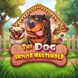 The Dog House Multihold gra w Aquaspins Casino dla graczy z Polski The Dog House Multihold gra w Aquaspins Casino dla graczy z Polski